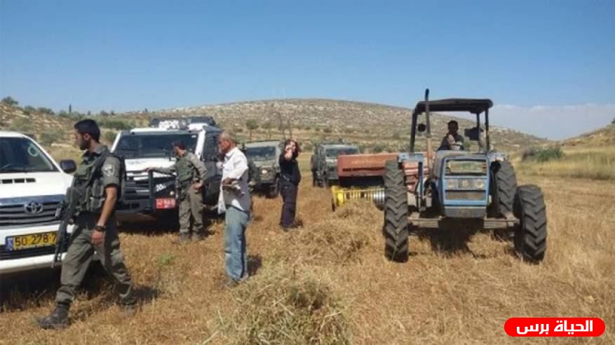 الاحتلال يصور منشآت زراعية في الأغوار الشمالية
