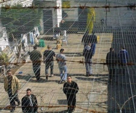 أسرى سجني مجدو و عوفر مستمرون في خطواتهم التصعيدية