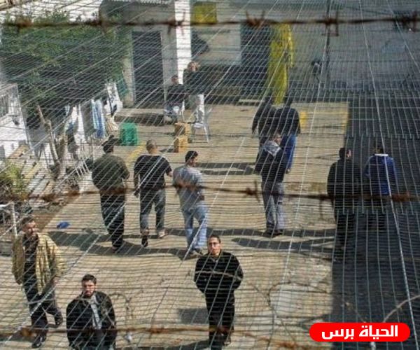 أسرى سجني مجدو و عوفر مستمرون في خطواتهم التصعيدية