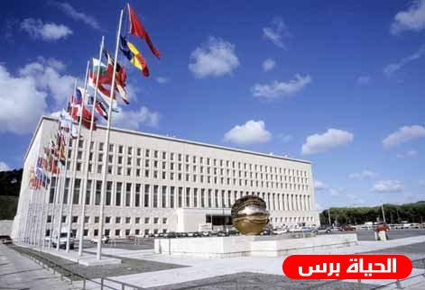 وزارة الخارجية الإيطالية:مبدأ الدولتين الحل الوحيد لضمان السلام