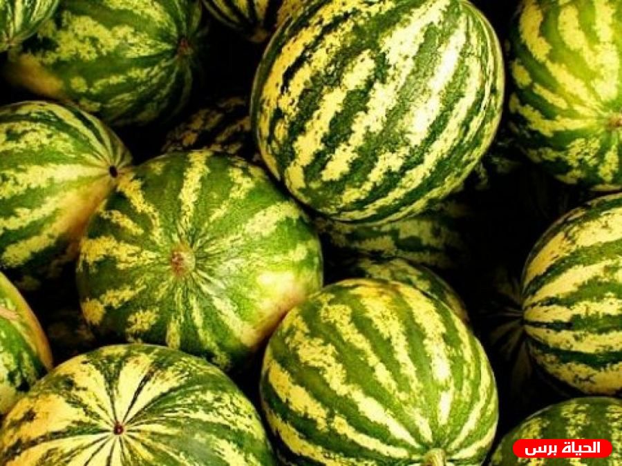 وزارة الاقتصاد:ضبط خمسة أطنان بطيخ من إنتاج المستوطنات