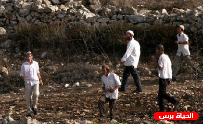 مستوطنون يهاجمون قرية التوانة جنوب الخليل