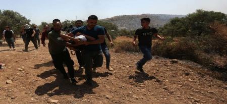 10 Palestinians injured as Israeli forces quell anti-settlement rally south of Nablus