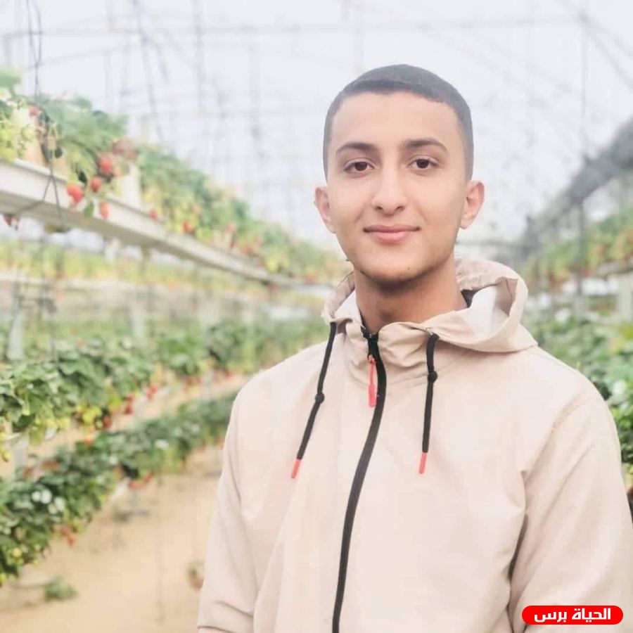 سبب مقتل الشاب عبد الله جمال البلوي شمال قطاع غزة
