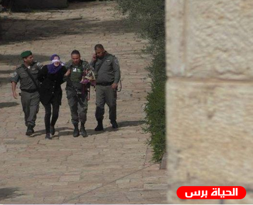 الاحتلال يعتقل المواطنة أفنان إدريس قرب الحرم الإبراهيمي