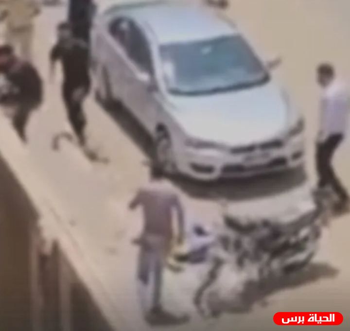 كشف اسباب جريمة ذبح فتاة المنصورة