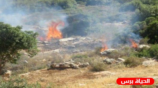 الاحتلال يشعل النار في أراضي المواطنين الزراعية شرق غزة
