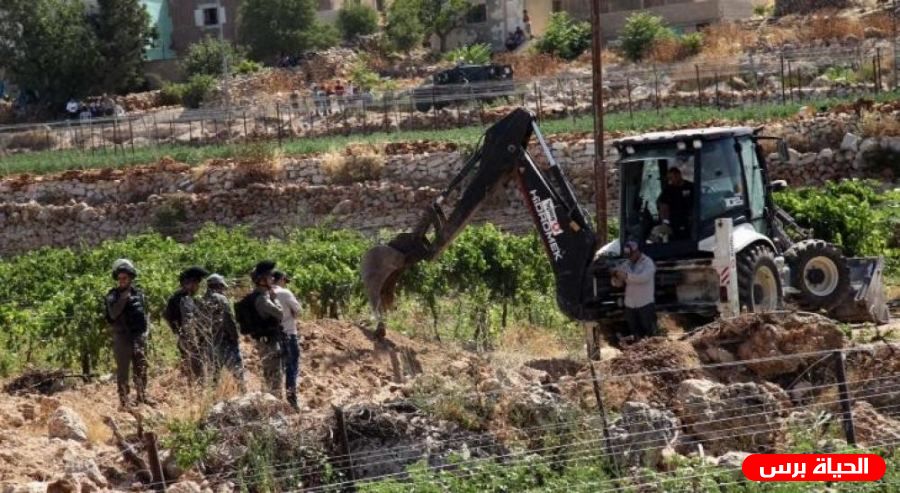 الاحتلال يجرف دونما ويقتلع 20 شتلة زيتون في قرية وادي فوكين