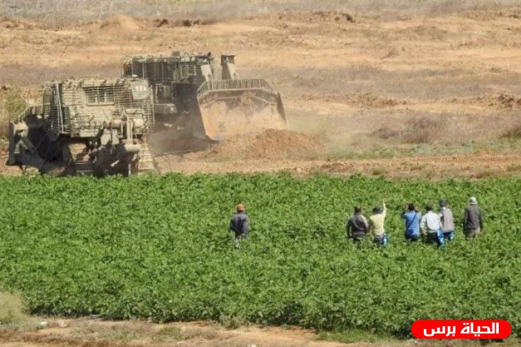 الاحتلال يستهدف المزارعين ورعاة الأغنام شرق رفح و المغازي