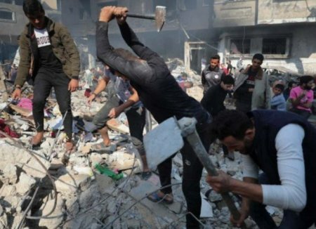 تقرير: انتشار القوارض والحشرات في غزة يتفاقم وسط تراكم الأنقاض وتدهور الأوضاع الصحية