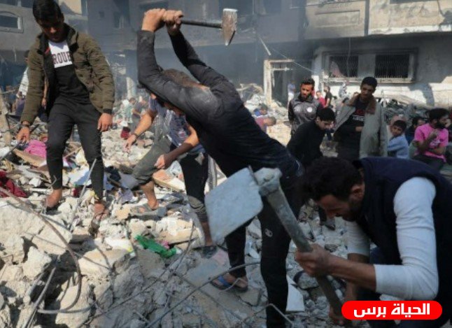 تقرير: انتشار القوارض والحشرات في غزة يتفاقم وسط تراكم الأنقاض وتدهور الأوضاع الصحية