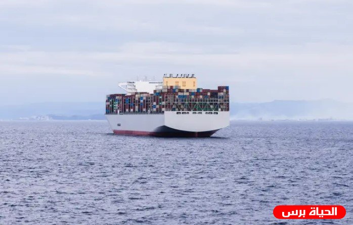 نداءات استغاثة من بحارة مصريين محتجزين قبالة الصومال: الغذاء والدواء على وشك النفاد