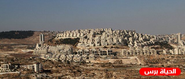 الاحتلال يبعد 3 أشقاء من القدس عن منطقة أبو غنيم 45 يوما 