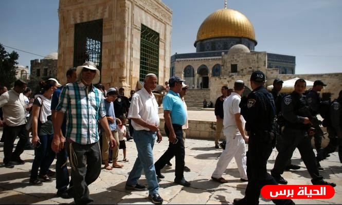عشرات المستوطنين يقتحمون باحات الأقصى اليوم