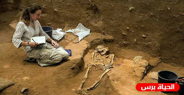 مقبرة في عسقلان المحتلة تكشف من أين جاء الفلسطينيون