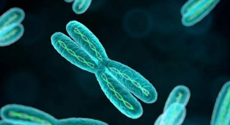 إحياء كائنات بعد 40 ألف عام من تجمدها