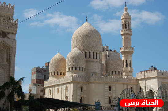 الأزهر يرفض بشدة هدم مبان فلسطينية بالقدس