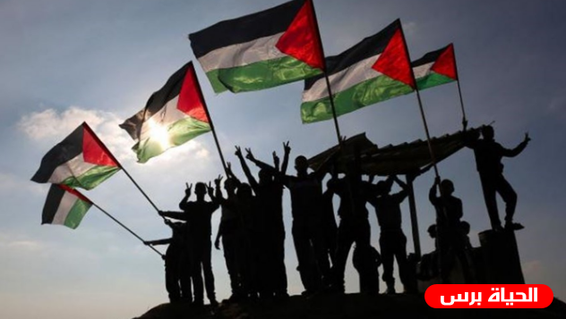 تقرير الانتهاكات الاسرائيلية خلال الأسبوع الماضي ضد الشعب الفلسطيني