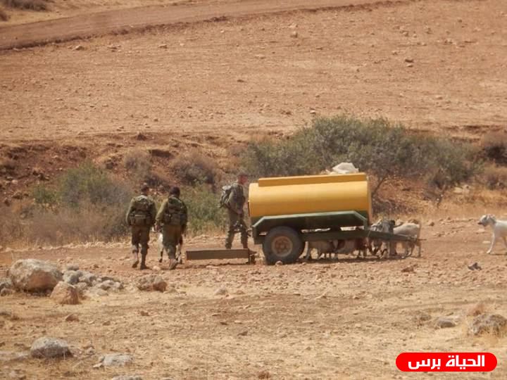 مستوطنون يحرثون أراضي المواطنين بالأغوار الشمالية