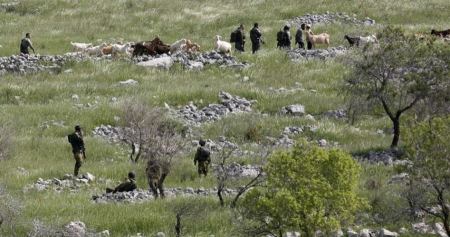 Israel seizes large tract of land near Bethlehem