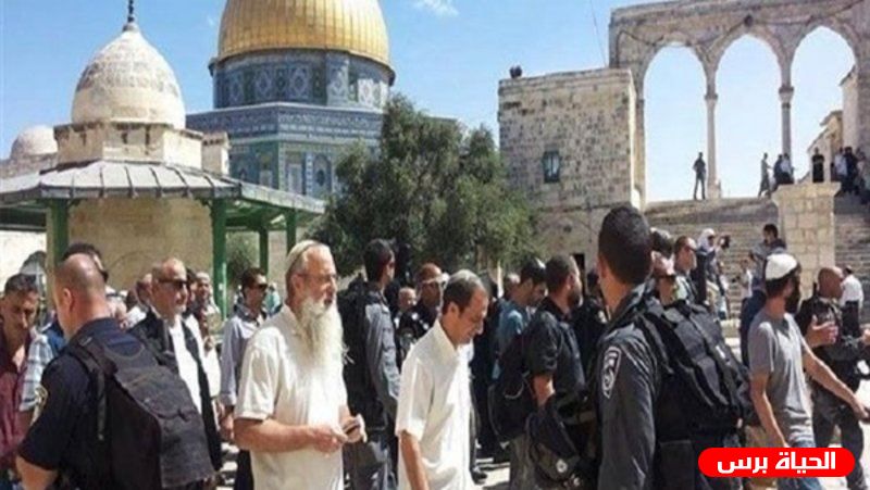 156 مستوطنا يقتحمون الأقصى وينفذون جولات استفزازية
