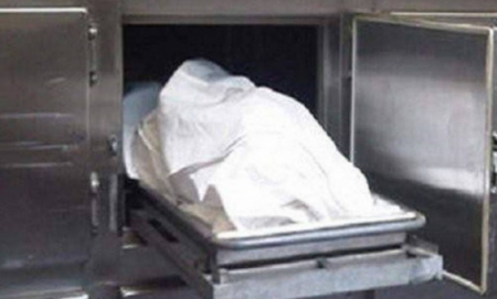 كلاب ضالة تكشف جريمة قتل 