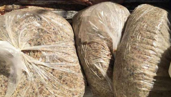 حبس صاحب مطعم قدم للزبائن حواوشي من لحم الحمير