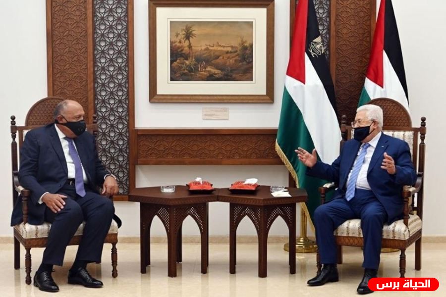 شكري عقب لقائه الرئيس: دعم مصر لفلسطين بقيادة الرئيس عباس أمر حتمي نحرص عليه