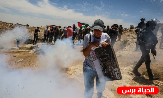 الاحتلال يعتدي على متضامنين في يطا