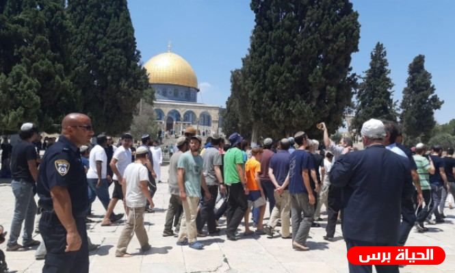 منظمة التحرير تحذر من اقتحام المستوطنين للأقصى صبيحة عيد الاضحى