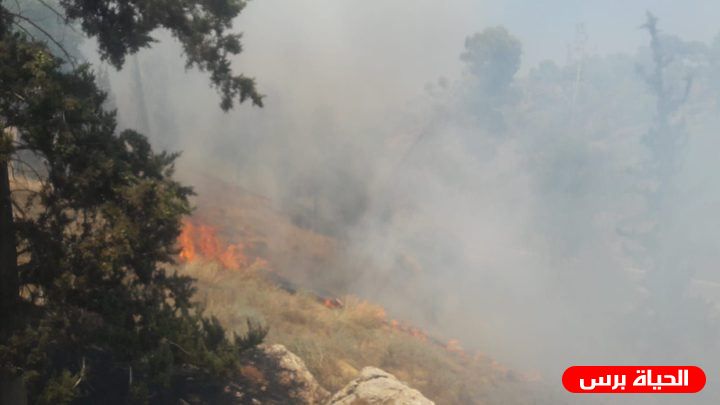 الدفاع المدني يخمد حريقا التهم 20 شجرة زيتون في بلدة يعبد