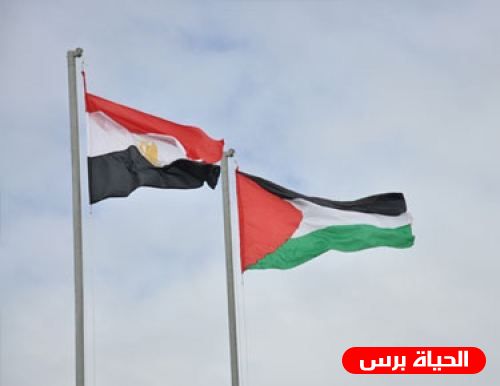 القاهرة: فلسطين تترأس الاجتماع الـ27 للجنة مؤسسات المجتمع المدني