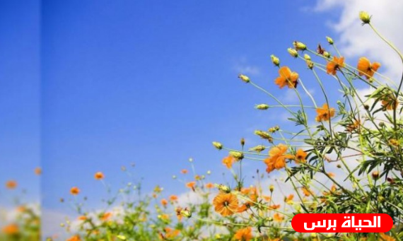 الطقس : انخفاض طفيف على درجات الحرارة