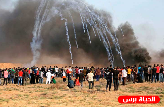 بالون حارق من غزة يشعل النار في أحراش شرق غزة