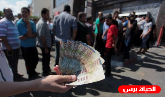 رابط فحص شيكات الشؤون الاجتماعية 2019 شهر 8 اغسطس