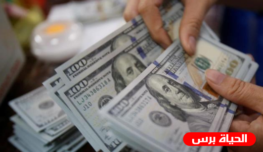 بدء صرف المنحة القطرية 100 دولار لـ 100 ألف أسرة في قطاع غزة