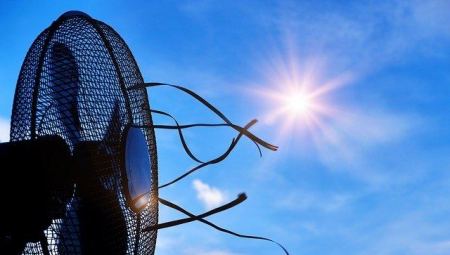 Weather: Slight rise in temperature