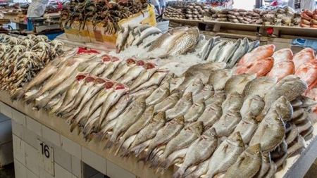 أسعار الأسماك اليوم الثلاثاء