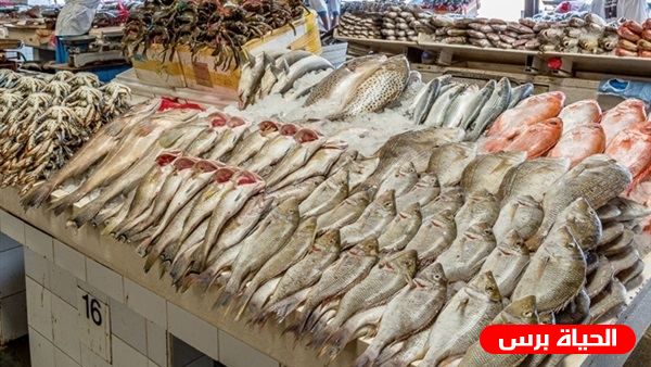 أسعار الأسماك اليوم الثلاثاء