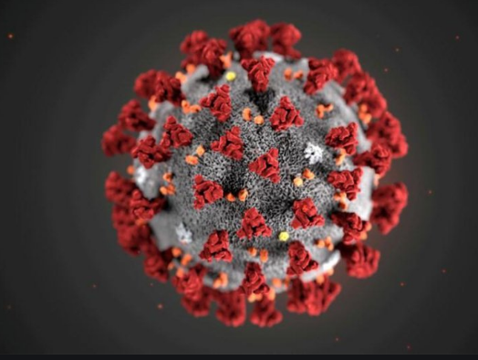 الصين تمنح أول براءة اختراع للقاح ضد فيروس كورونا