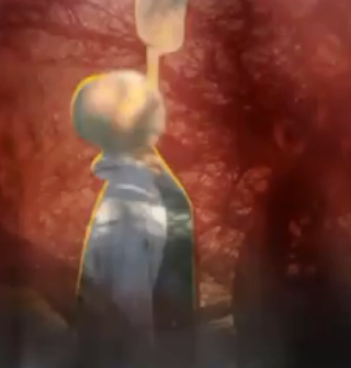 مقتل طفل في المنوفية بطريقة غريبة