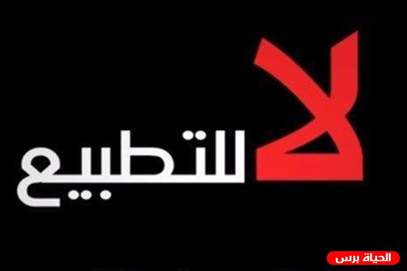 مصريون: جسور التطبيع مع إسرائيل تسهل تمرير مخططات الضم