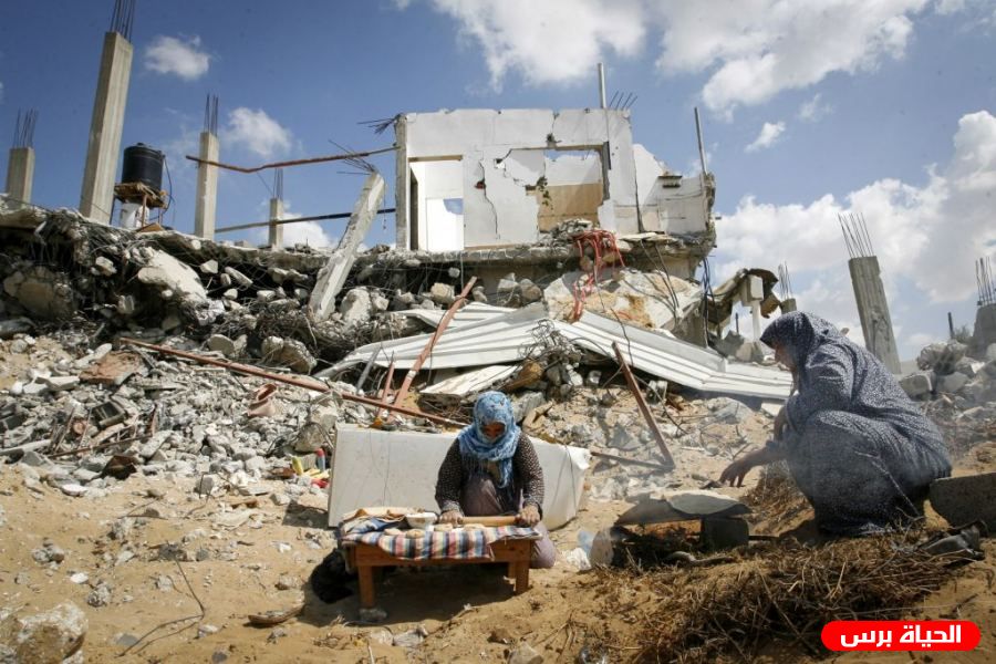 Animal sheds destroyed as demolition orders were issued against structures in south of West Bank