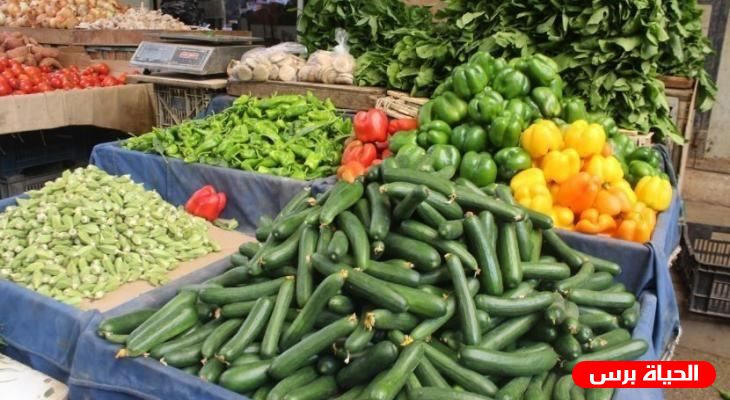 اسعار الخضار اليوم الثلاثاء 11/8/2020