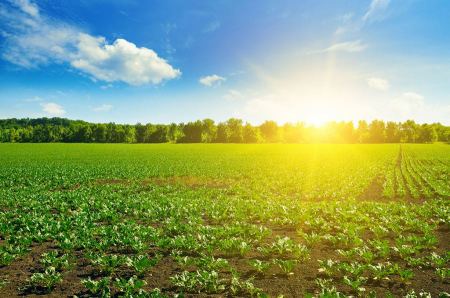 Weather: Rise in temperature to become three degrees Celsius above average