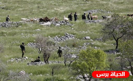 الاحتلال يقر الاستيلاء على 327 دونما شرق بيت لحم لإنشاء وحدات استيطانية 