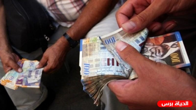 اسعار العملات مقابل الشيقل اليوم الاثنين9/8/2021