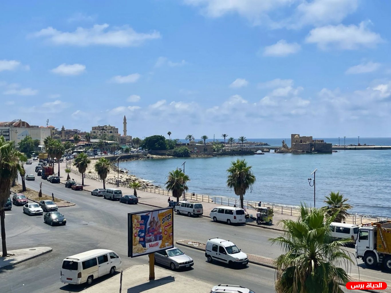 عدوى من نوع آخر تنتشر في صيدا !!! 