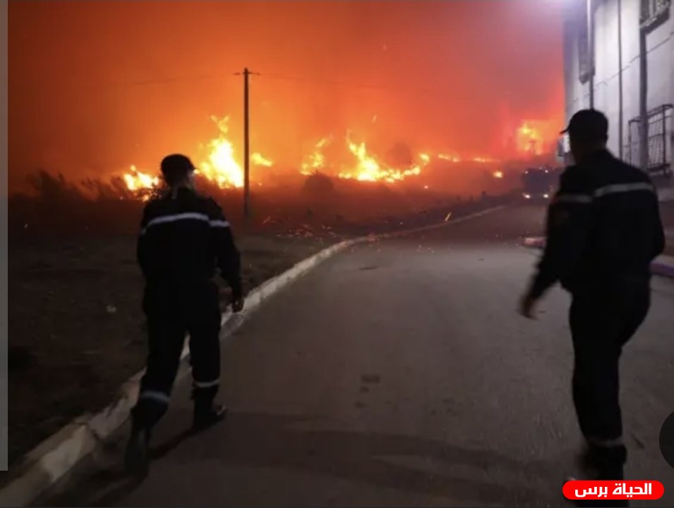 حرائق الجزائر تحصد 12 قتيلاً وتُجبر عائلات على مغادرة منازلها