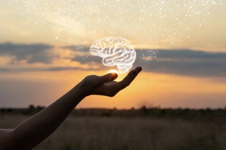 الأوركسين .. مادة في الدماغ تساعدك على الاستمرار عندما تصبح الأهداف صعبة.. ماذا اكتشف العلماء؟